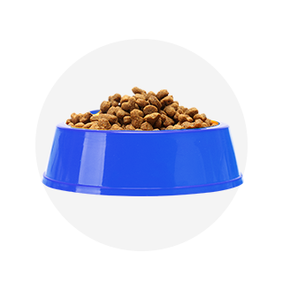 Chăm Sóc Thú Cưng 